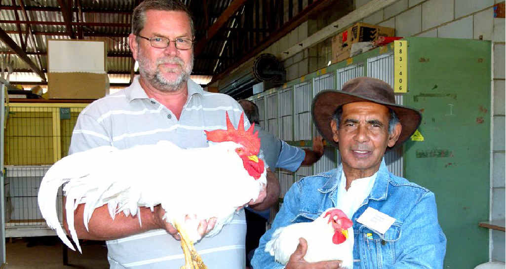 Steve Abbey (left) and John Franchin with John’s pair of large white leghorns. Steve Abbey (left) and John Franchin with John’s pair of large white leghorns.